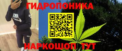 сатива Донецк