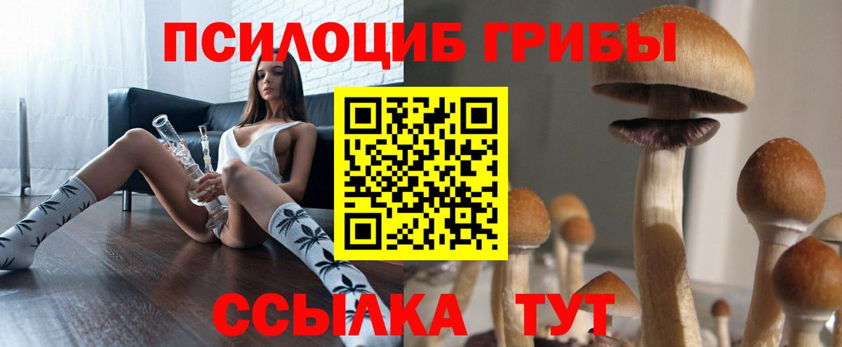 Малоярославец  Галлюциногенные грибы MAGIC MUSHROOMS  Вход с VPN 